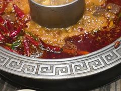 -杨肥肠火锅大排档(火车站花园店)