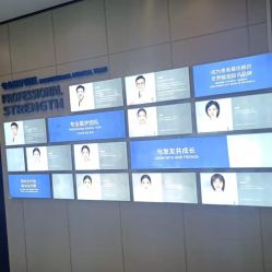 -大麦微针植发丨全国连锁