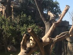 -宁波野生动物园