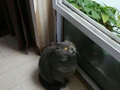 -Rabbit Cafe私房西餐甜点咖啡(栖霞路店)