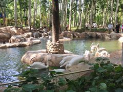 -北京野生动物园