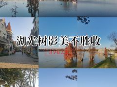 -美的鹭湖森林度假区