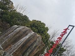 -合肥滨湖国家森林公园