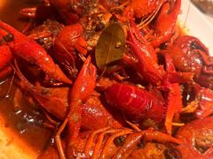 -京B·东篱精酿啤酒音乐餐厅