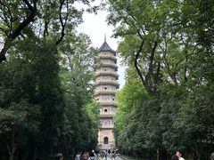 -灵谷景区