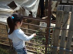 -小鱼草莓采摘园农家乐·小鱼餐厅