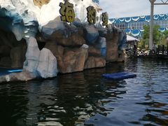 -华夏文旅海洋公园