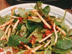 水豆豉拌折耳根-云海肴云南菜·蒸汽石锅鱼(北京良乡华冠店)