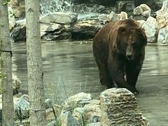 -北京野生动物园