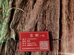 -潭柘寺景区
