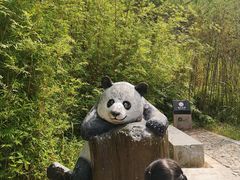 -神光山国家森林公园