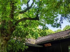 -法云安缦酒店