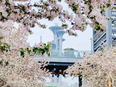 -北京奥林匹克公园