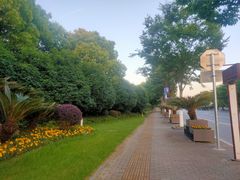 -乌镇东栅景区-修真观