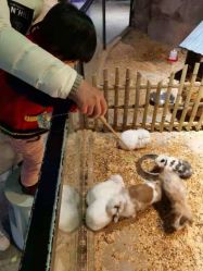 -酷嗒动物文化乐园(cutezoo西溪乐天城店)