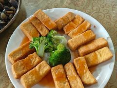 -水上鱼当家