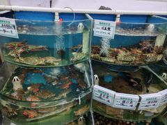 -叶存利海鲜大馅饺子(海宁路总店)