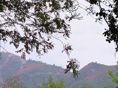 -木兰云雾山