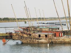 -贡湖湾湿地公园