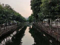 -伟记牛蹄(道滘店)
