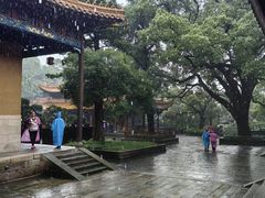 -普陀山风景名胜区-法雨禅寺