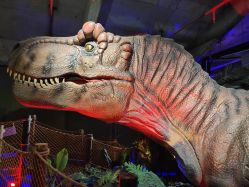 -恐龙探索乐园(磁器口店)