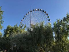 -伊犁河景区