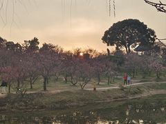 -无锡梅园公园