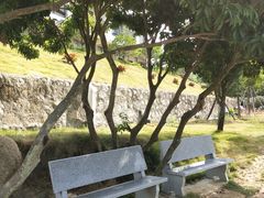 -那琴半岛地质海洋公园