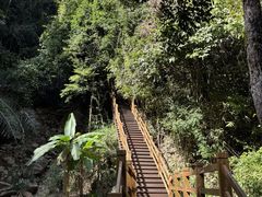 -霸王岭国家森林公园