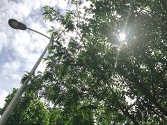 -东北大学(南湖校区)