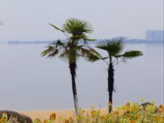 -瑶湖湿地自然保护区