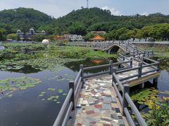-红山村