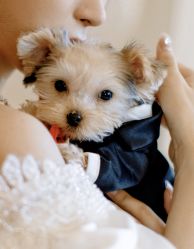 -蘭club婚礼策划