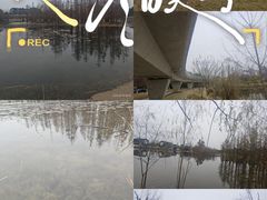 -白鹭湾湿地公园