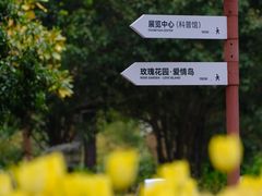 -上海鲜花港