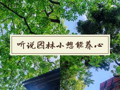 -行人小筑·茶馆(岑村火炉山分店)