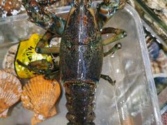 -船奇蒸汽海鲜·闽菜(八市海鲜总店)