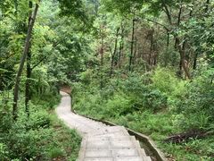 -桃花岭景区