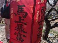 -无锡梅园公园