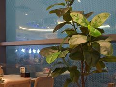 -南拳十三姨·潮汕砂锅粥·粤菜(西单大悦城店)