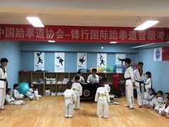 -嗨动跆拳道体能馆(菜百店)