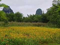 -明仕田园
