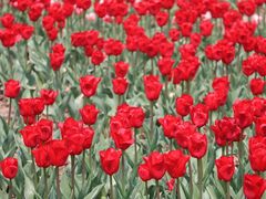 -玄武湖景区-情侣园游乐场