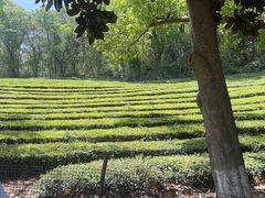 -敬亭山风景名胜区