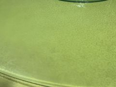 -202特色排档(五缘湾店)