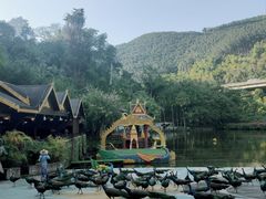 -西双版纳原始森林公园