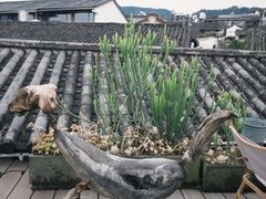 -YLK云南小粒咖啡·云里咖(二号店)