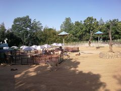 -西安秦岭野生动物园