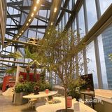 上海中心22楼的党建中心